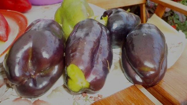 Výborná kápiová čalamáda (fotorecept) - obrázok 5