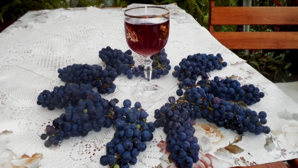 Výborná kápiová čalamáda (fotorecept) - obrázok 20