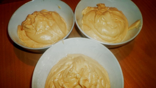 Papagáj rezy (fotorecept) - obrázok 4