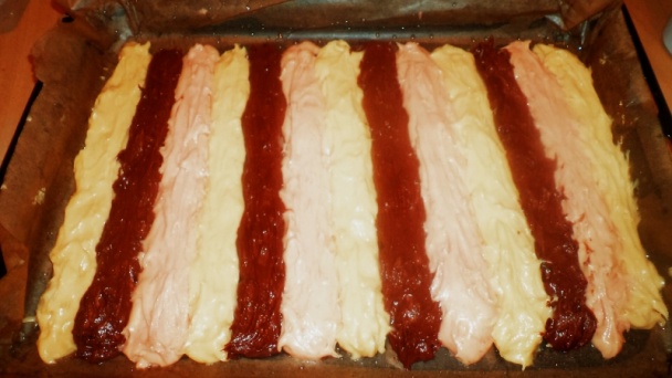 Papagáj rezy (fotorecept) - obrázok 6