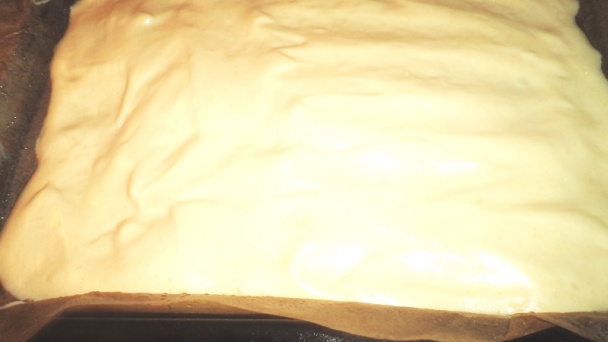 Papagáj rezy (fotorecept) - obrázok 10