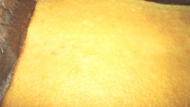 Papagáj rezy (fotorecept) - obrázok 11