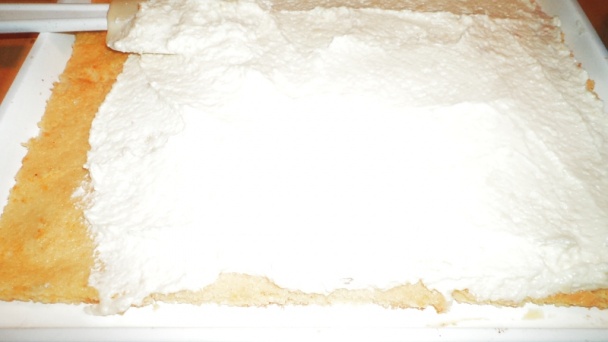 Papagáj rezy (fotorecept) - obrázok 13