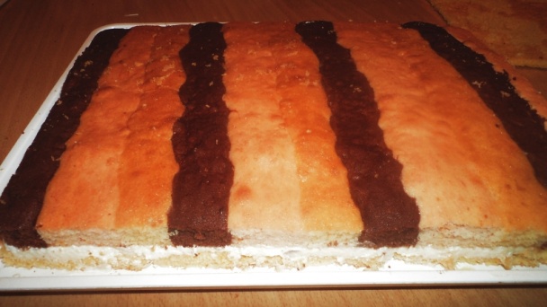 Papagáj rezy (fotorecept) - obrázok 14