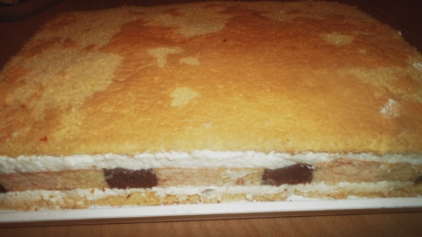 Papagáj rezy (fotorecept) - obrázok 15