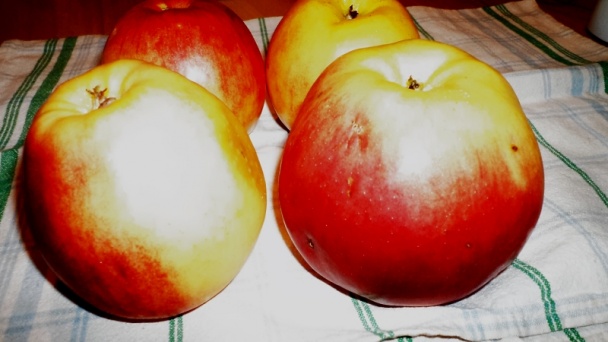 Jabĺčka v krehkom župane (fotorecept) - obrázok 4