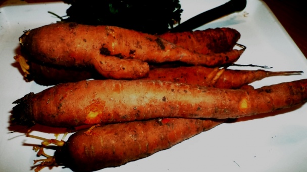 Mrkvový perkelt (fotorecept) - obrázok 1