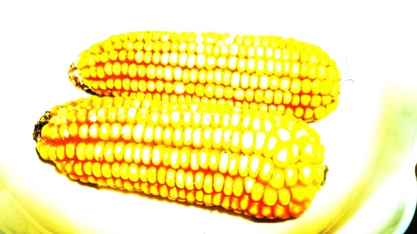 Varená kukurica s makom, citrónom a vanilkou (fotorecept) - obrázok 1