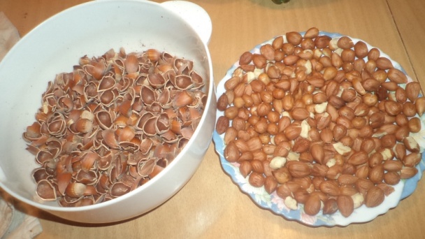 Orieškovo-marhuľové rezy (fotorecept) - obrázok 1