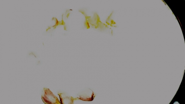 Dusené kačacie stehná a plnený krk na majoránke (fotorecept) - obrázok 2