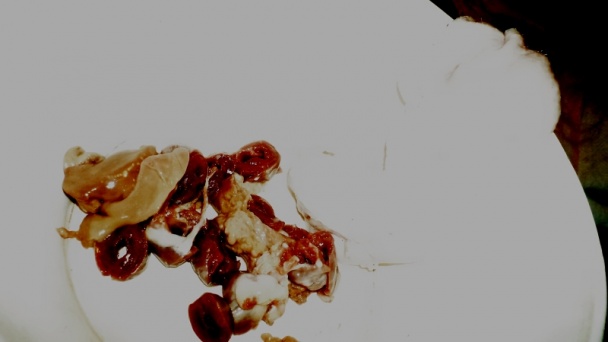 Dusené kačacie stehná a plnený krk na majoránke (fotorecept) - obrázok 6