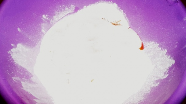 Cesnakové uzlíky so semienkami (fotorecept) - obrázok 1