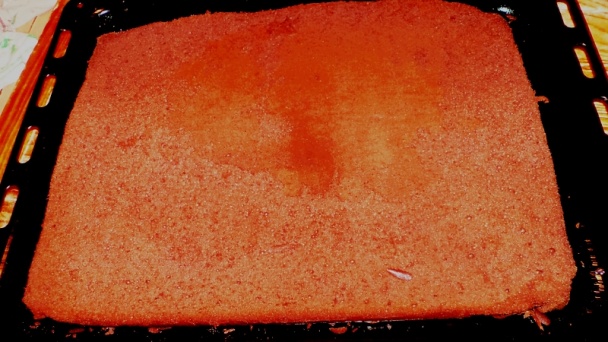 Sacherove rezy (fotorecept) - obrázok 6