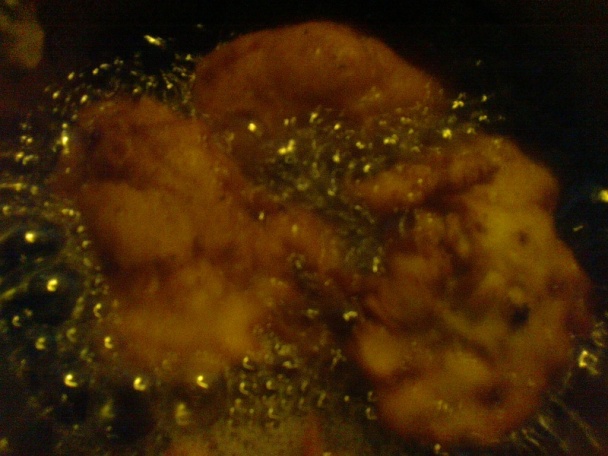 Pestrý zemiakový šalát a morčacími kúskami (fotorecept) - obrázok 10