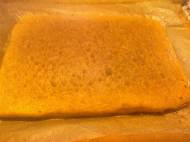 Tvarohové rezy s marhuľovým lekvárom (fotorecept) - obrázok 6