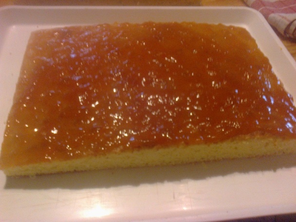 Tvarohové rezy s marhuľovým lekvárom (fotorecept) - obrázok 10