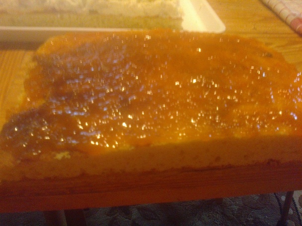 Tvarohové rezy s marhuľovým lekvárom (fotorecept) - obrázok 12