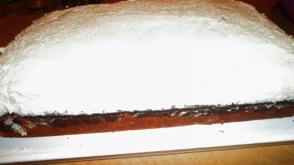 Tvarohové guľky v kokosovej perinke (fotorecept) - obrázok 8