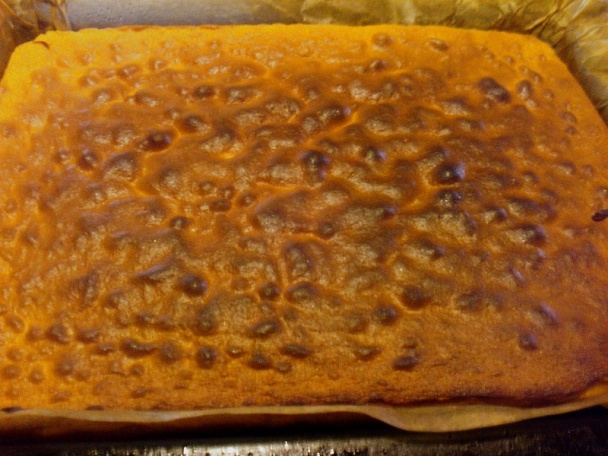 Izolda rezy (fotorecept) - obrázok 4