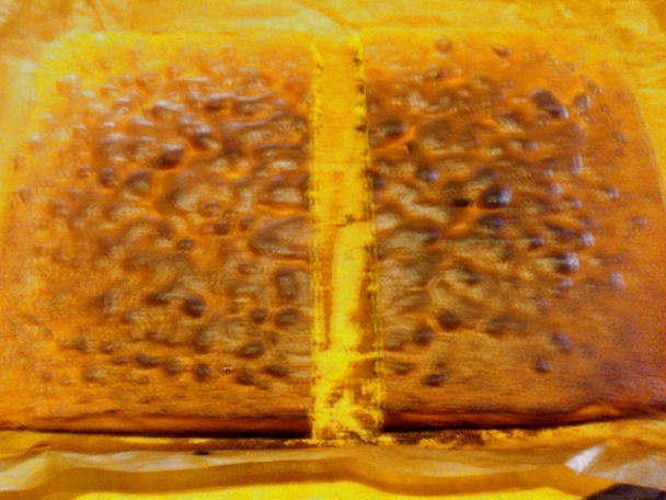 Izolda rezy (fotorecept) - obrázok 5