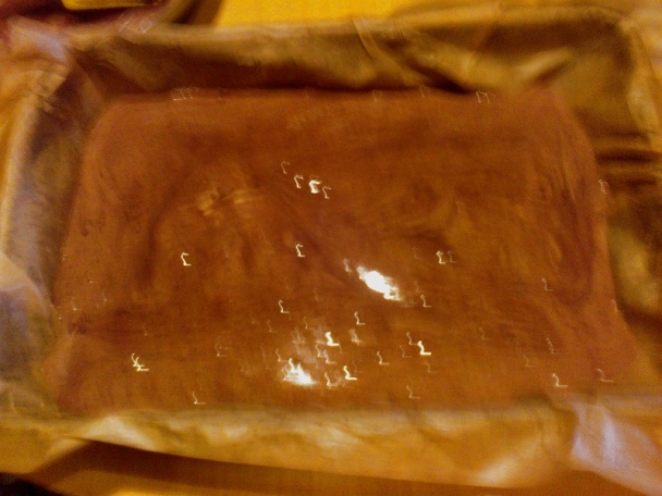 Izolda rezy (fotorecept) - obrázok 8