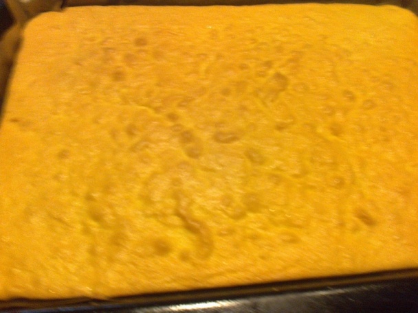 Dorina rezy (fotorecept) - obrázok 3