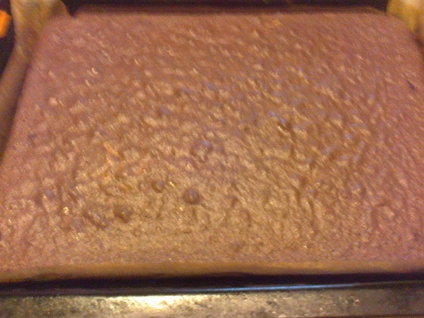 Dorina rezy (fotorecept) - obrázok 6