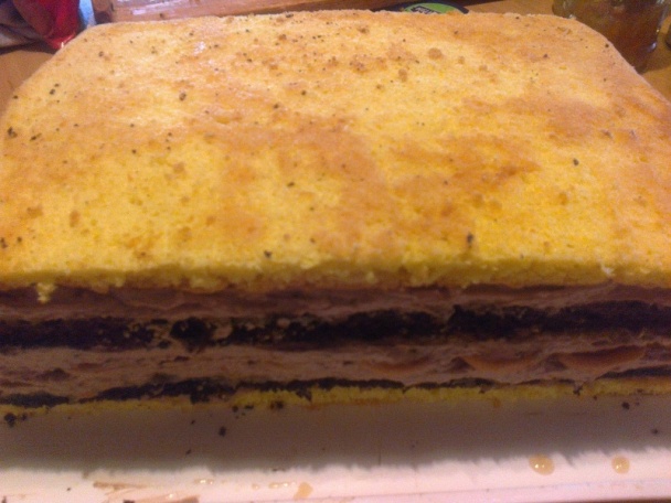 Dorina rezy (fotorecept) - obrázok 14