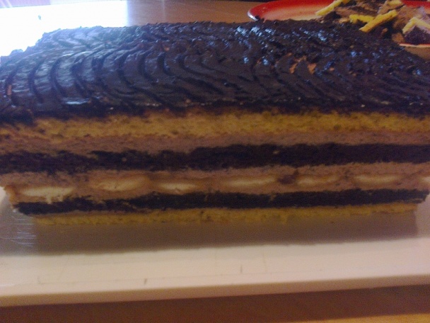 Dorina rezy (fotorecept) - obrázok 15