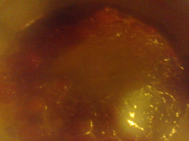 Jahodový džem s vanilkou a koňakom (fotorecept) - obrázok 4