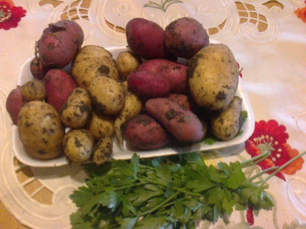 Pečienkové fašírky (fotorecept) - obrázok 11