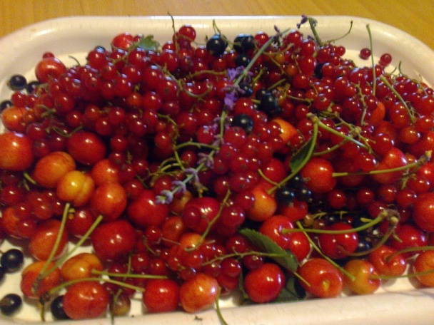 Ovocné tvarohové rezy (fotorecept) - obrázok 5