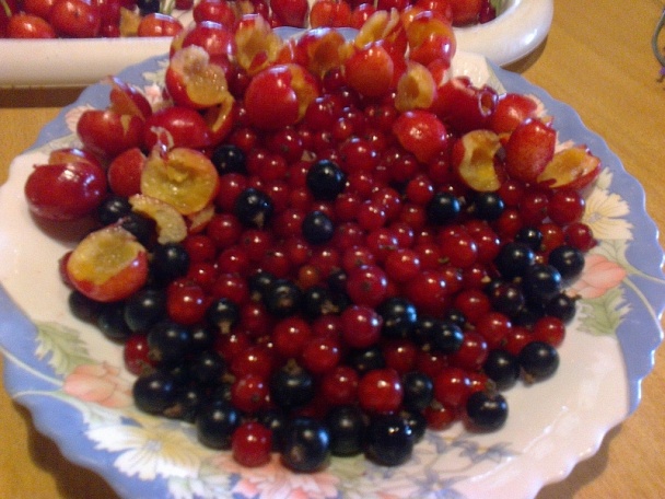 Ovocné tvarohové rezy (fotorecept) - obrázok 6