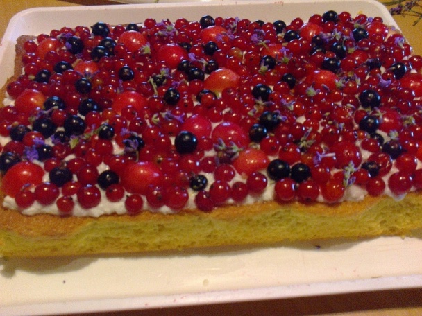 Ovocné tvarohové rezy (fotorecept) - obrázok 7