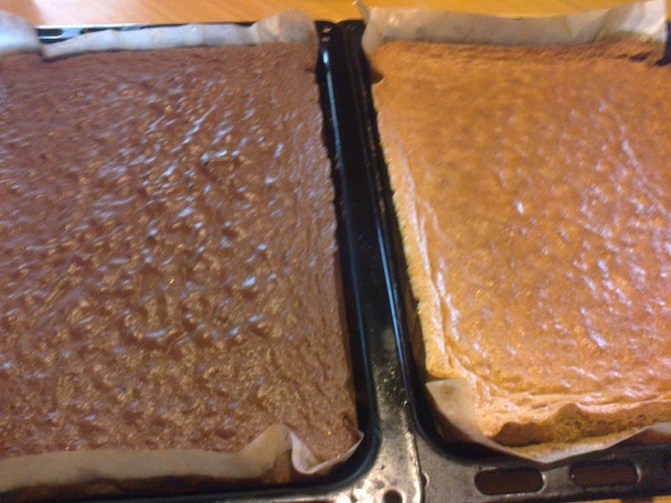 Báječná Angelika rezy (fotorecept) - obrázok 6