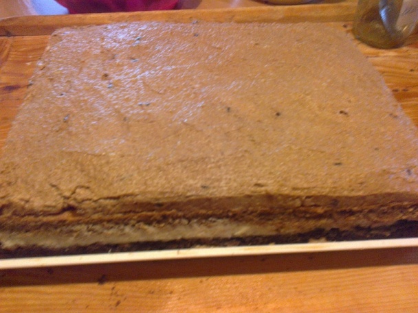 Báječná Angelika rezy (fotorecept) - obrázok 15