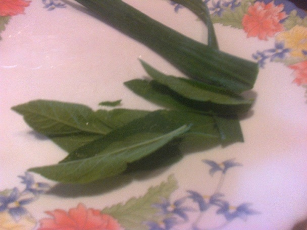 Rolky z mletého morčacieho mäsa so šalviou (fotorecept) - obrázok 4