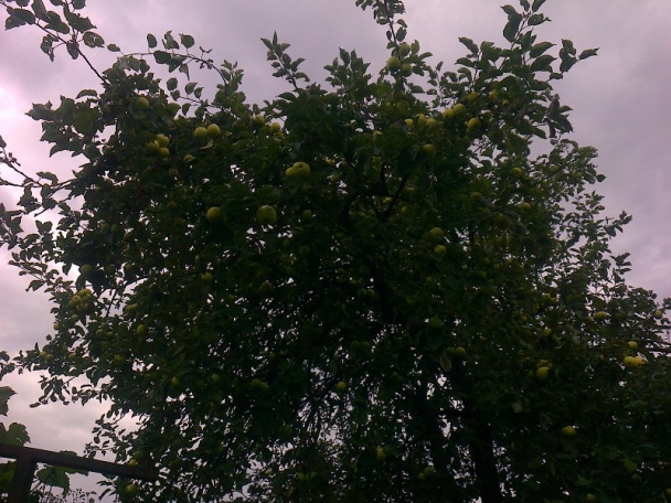 Hrnčeková krehká sypaná jablkovo-maková štrúdľa (fotorecept) - obrázok 1