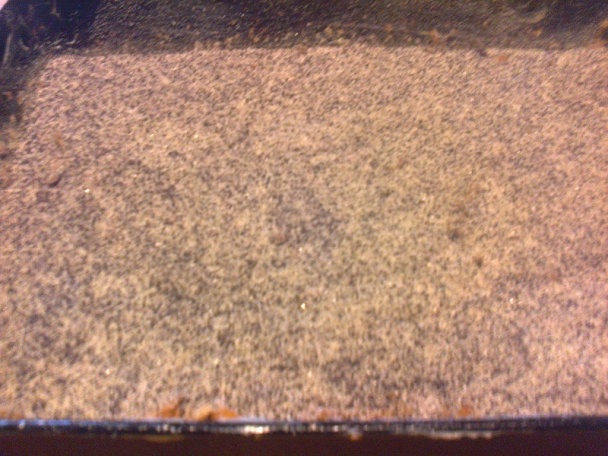 Hrnčeková krehká sypaná jablkovo-maková štrúdľa (fotorecept) - obrázok 10