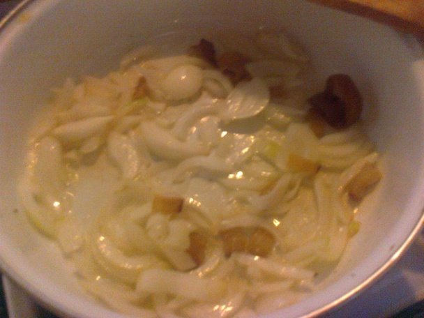 Furmanská kapsa (fotorecept) - obrázok 5