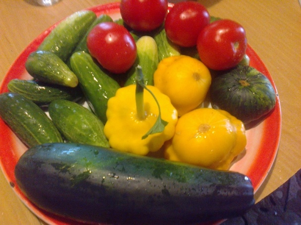 Patizóniky plnené jaternicou (fotorecept) - obrázok 1