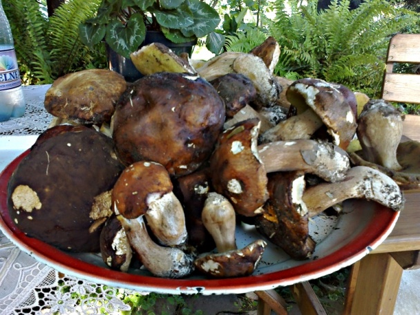 Vyprážané dubáčie klobúky so šalviou (fotorecept) - obrázok 1