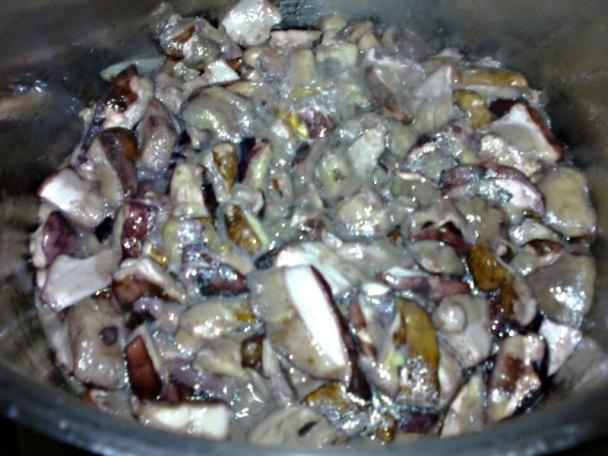 Dubákový perkelt (fotorecept) - obrázok 3