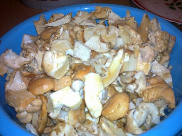 Jelenka poprehýbaná a čo záhrada dala v sladkokyslom náleve (fotorecept) - obrázok 3