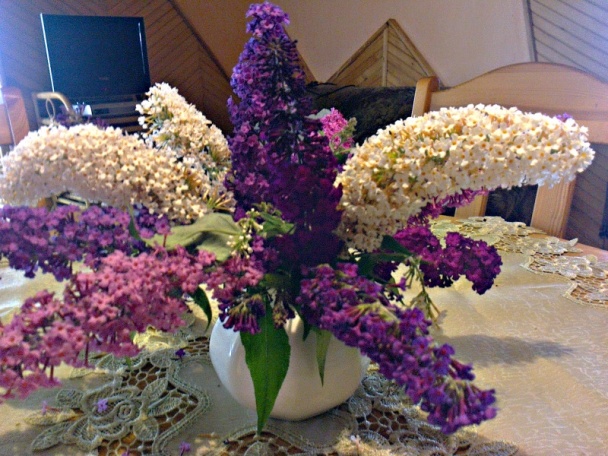 Domáce bravčové pliecko na červenom víne (fotorecept) - obrázok 7