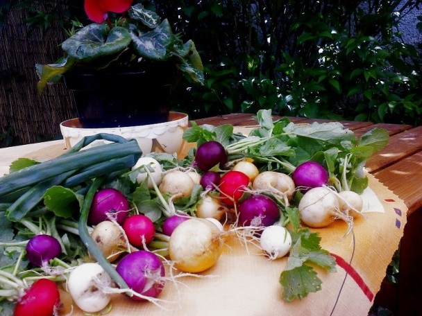 Pečený pleskáč na masle s koňakom (fotorecept) - obrázok 6