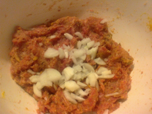 Fašírkový kolotoč (fotorecept) - obrázok 3