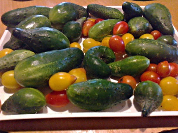 Králik s kuriatkami na smotane (fotorecept) - obrázok 6