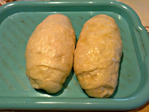 Laň na pomarančoch s čučoriedkami (fotorecept) - obrázok 3