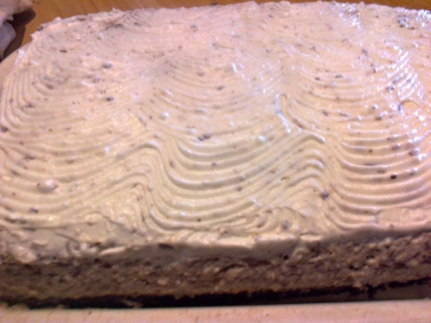 Stracciatella rezy (fotorecept) - obrázok 10